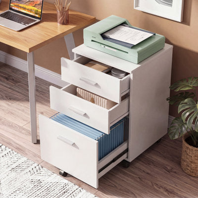 Braxx 16.2'' Wide 3 Drawer Mobile File Cabinet, Filing Cabinet With Full-Extension