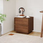 18.9" W Wooden Nightstand with 2 Drawers (Set of 2)