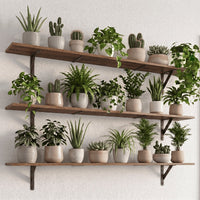 Floating Shelves for Wall 32″W x 8″D, Long Wall Mounted Shelves Set of 3, Wood Book