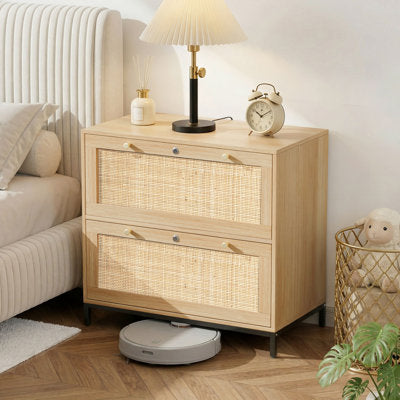 Blasko 29.5" W Engineered Wood 2-Drawer Lateral File Cabinet - Beige