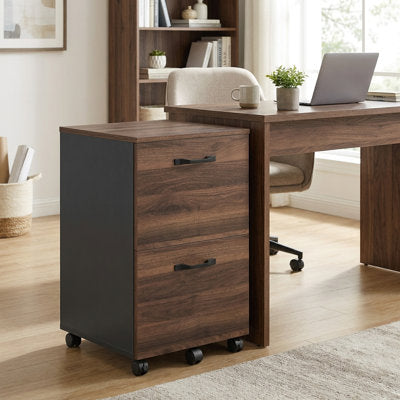 Cambrie 16.7" W 2-Drawer Mobile Vertical Filing Cabinet - Filing Cabinet